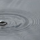 Wasserblase auf einem See in Schweden nach dem Regen