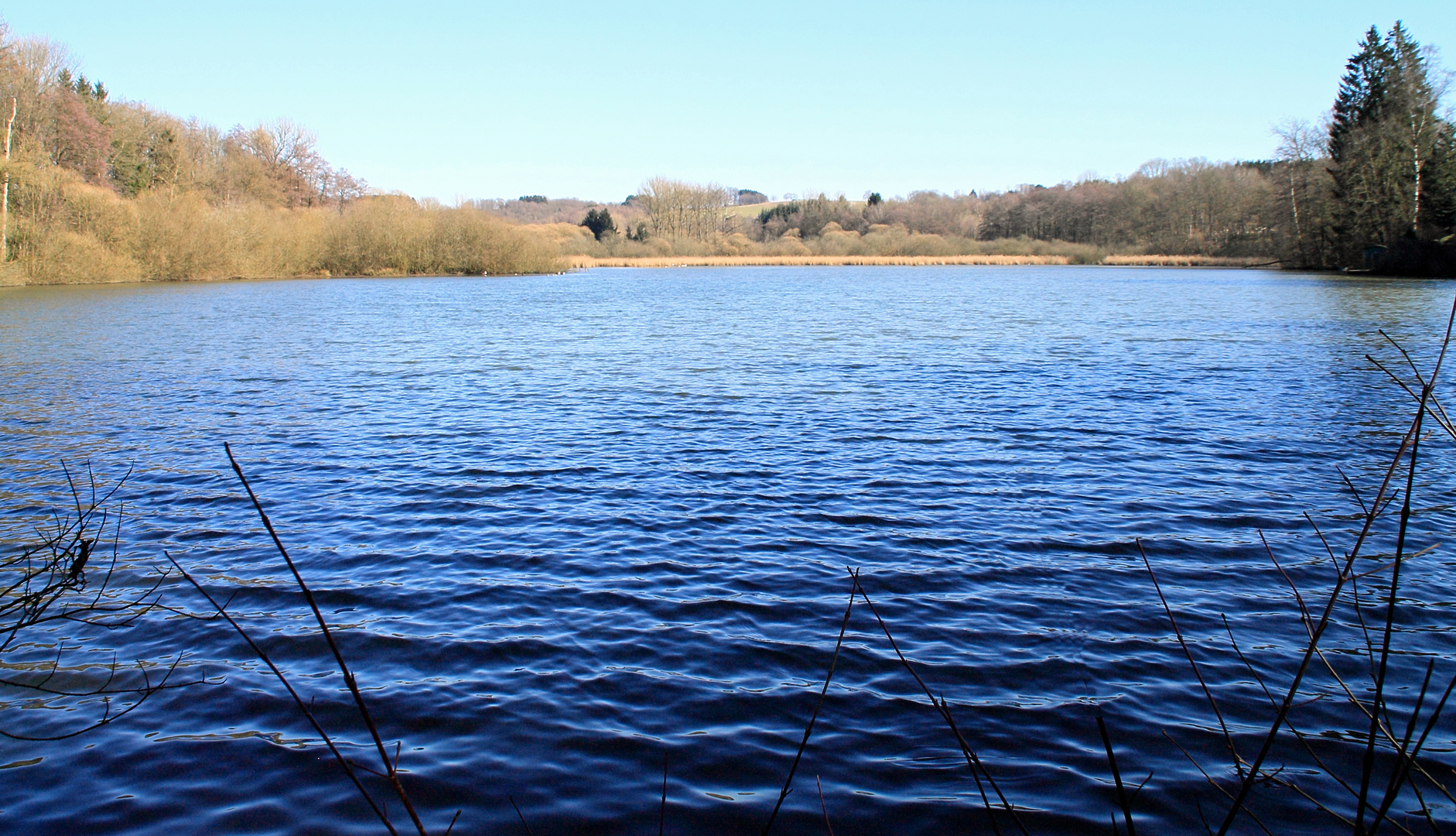 Wasserblaue Tönung