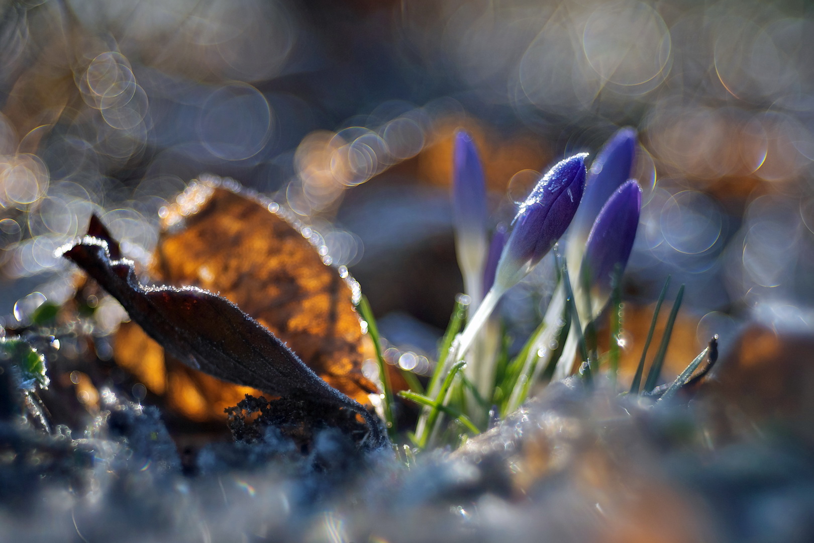 Wasserblauer Traum