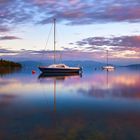 Wasserbug am Bodensee