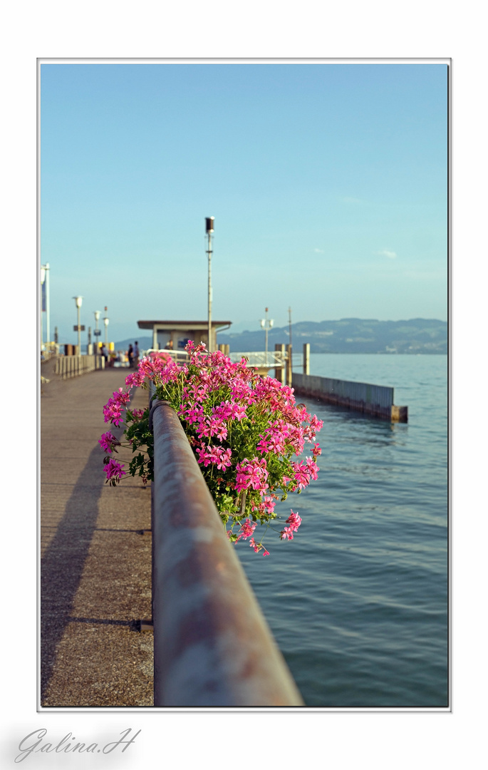 Wasserburg am Bodensee