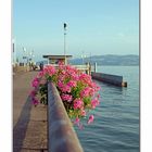 Wasserburg am Bodensee