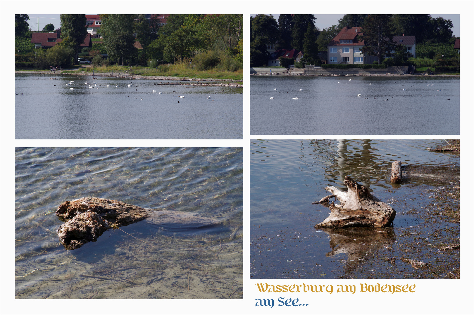 ...Wasserburg am Bodensee