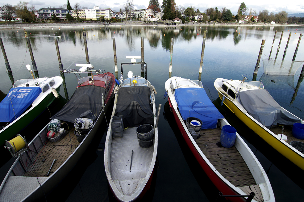 Wasserburg am Bodensee - Bootshafen