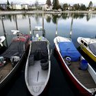 Wasserburg am Bodensee - Bootshafen