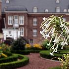 Wasserburg Anholt und sein Busquett