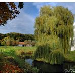 Wasserburg Dorenburg