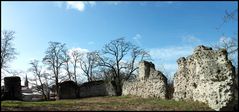 Wasserburg Dorfelden II