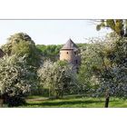 Wasserburg "Haus zum Haus" - Blick über die Obstwiese