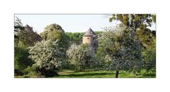 Wasserburg "Haus zum Haus" - Blick über die Obstwiese