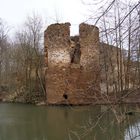 Wasserburg in Mechelgrün bei Plauen