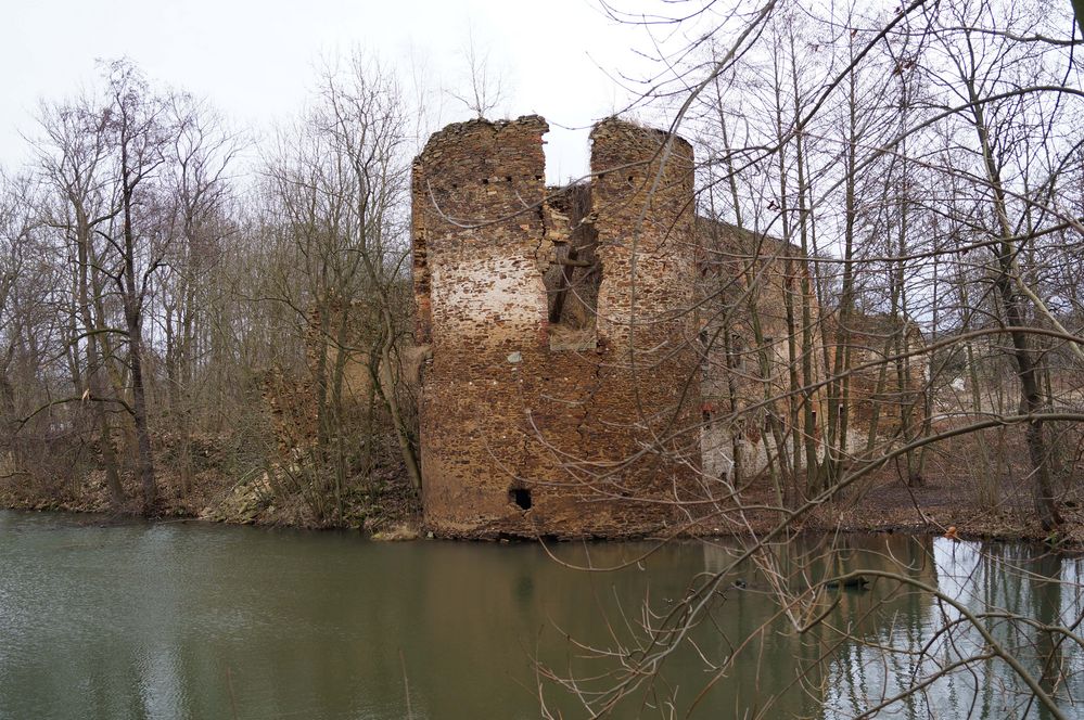 Wasserburg in Mechelgrün bei Plauen