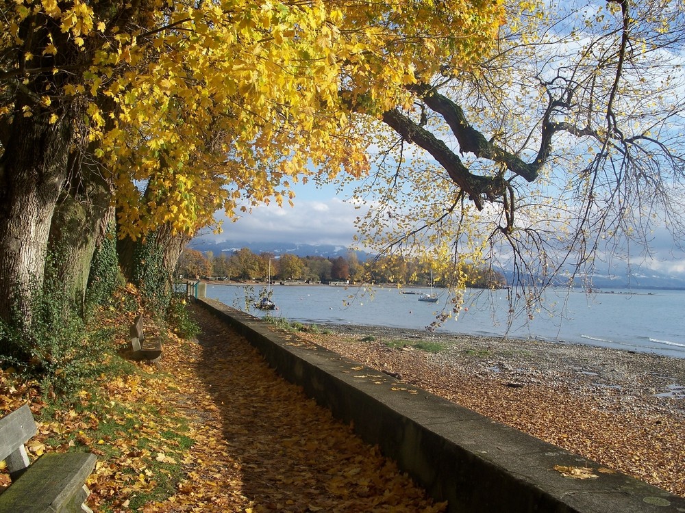 Wasserburg Richtung Bregenz