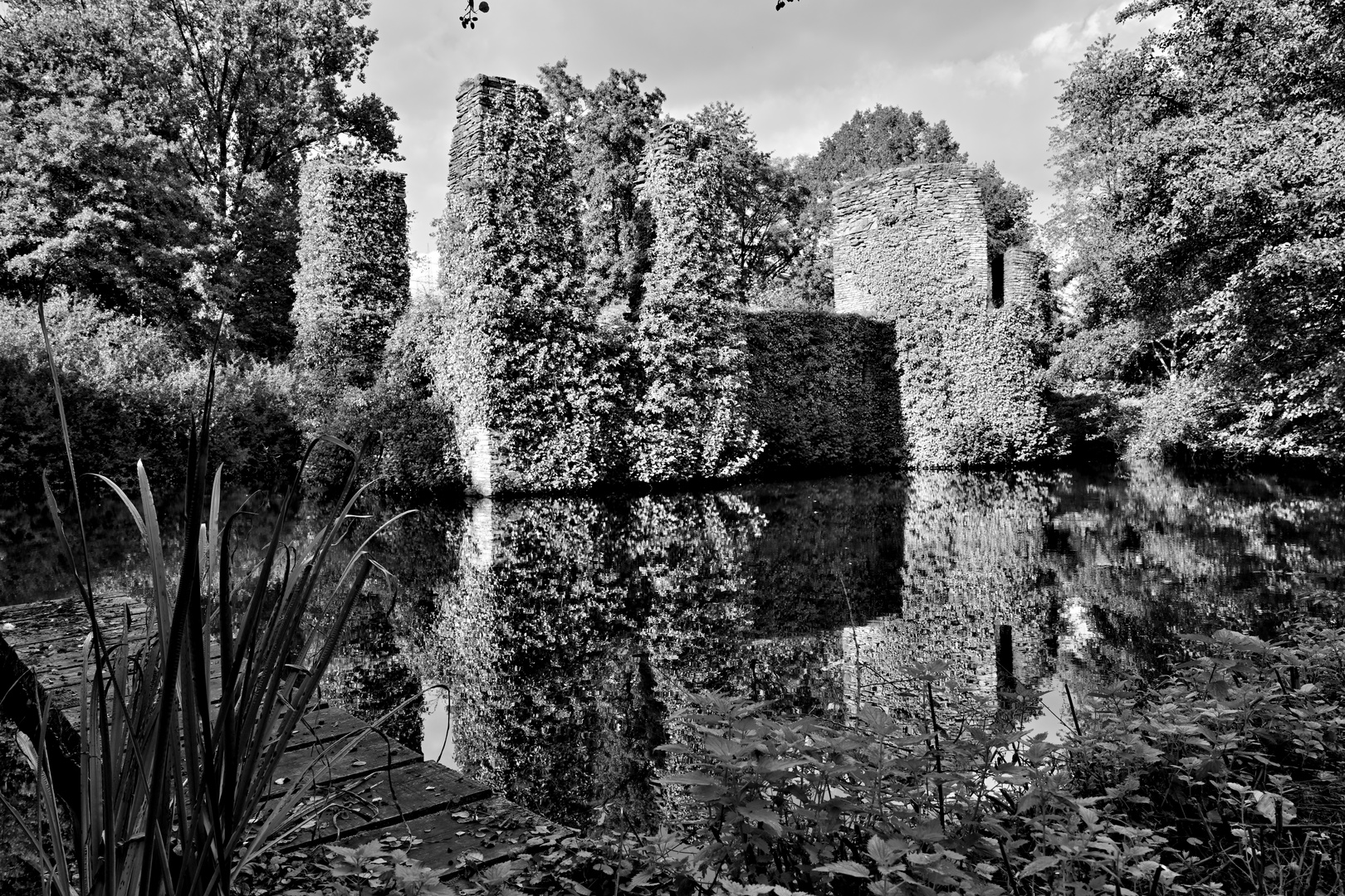 Wasserburg-Ruine