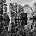 Wasserburg-Ruine