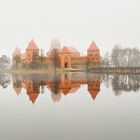 Wasserburg Trakai im Nebel