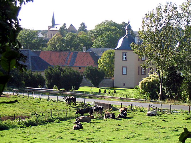 Wasserburg- und Dorf-Eicks