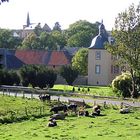 Wasserburg- und Dorf-Eicks