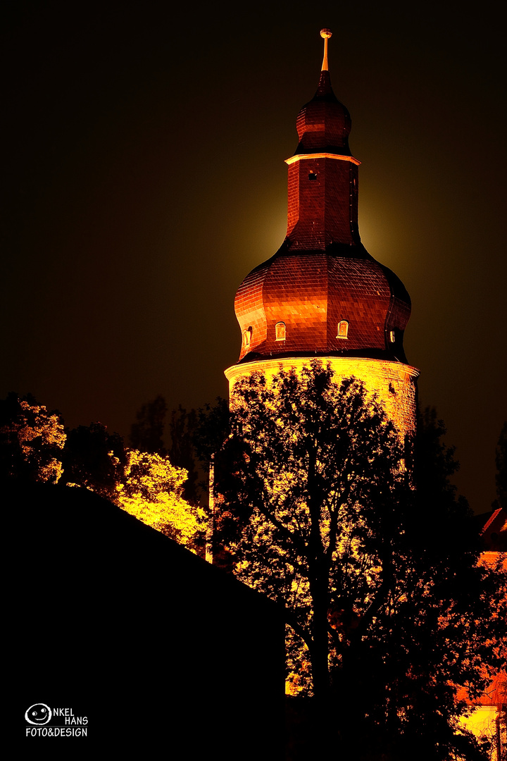 Wasserburg zu Gommern