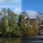 Wasserburgruine - Eibach (Frühling - Winter)