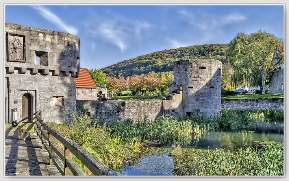 ~ Wasserburgruine Friedewald ~