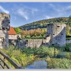 ~ Wasserburgruine Friedewald ~