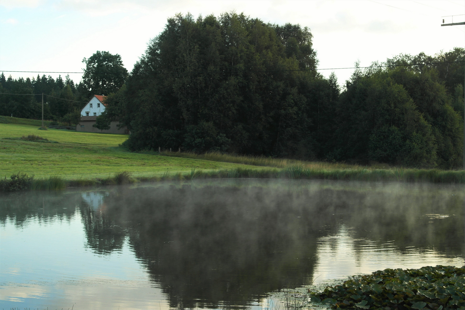  Wasserdampf über und Hausspiegelung im Teich