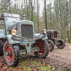 "Wasserdeutz" im Wald