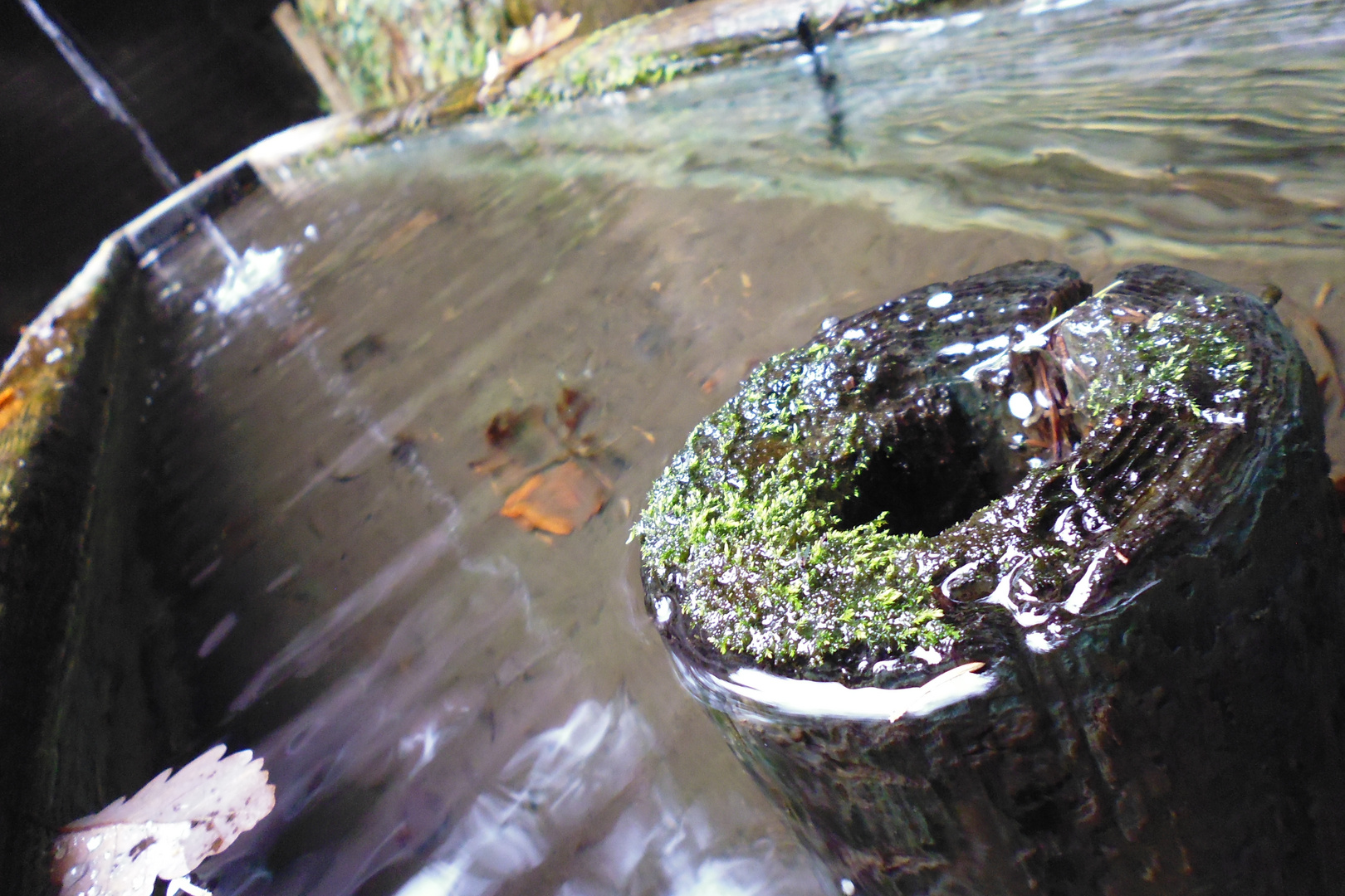 Wasserdichter "Donut" im Waldbrunnen