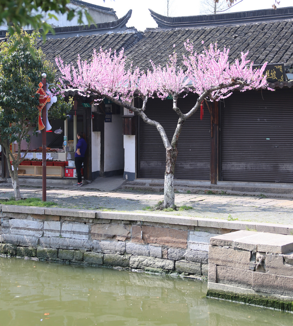 Wasserdorf  Zhujiajiao 