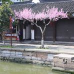 Wasserdorf  Zhujiajiao 