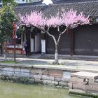 Wasserdorf  Zhujiajiao 