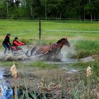 Wasserdurchfahrt