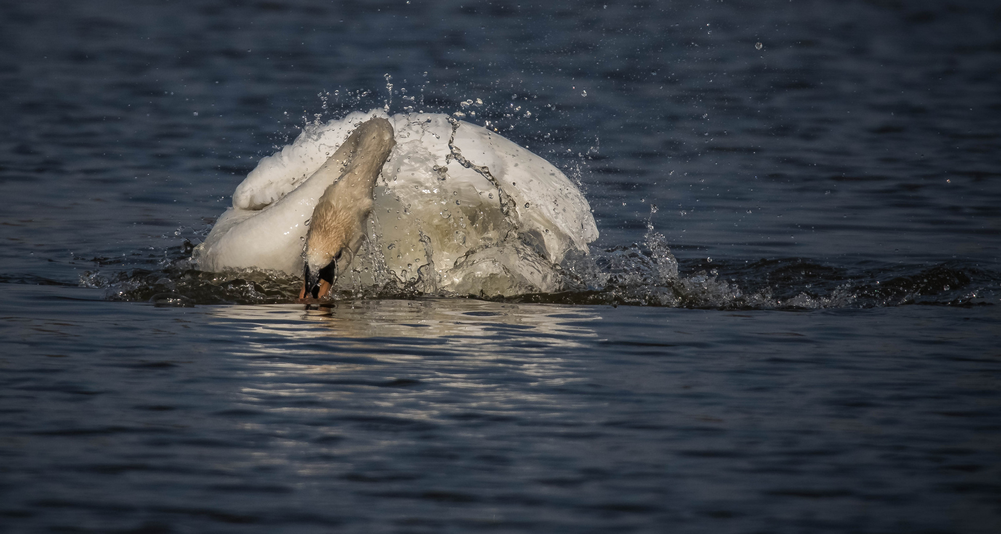 Wasserdusche