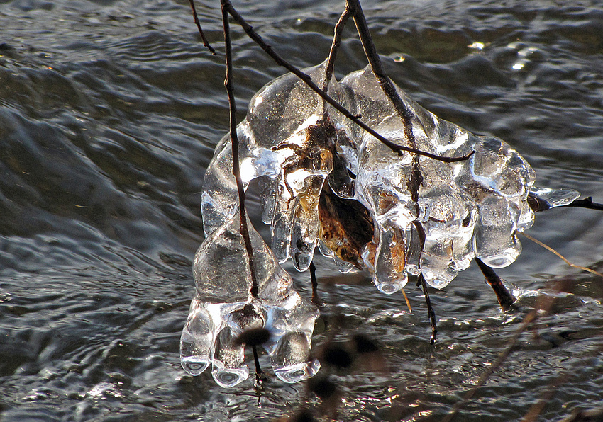 Wasser+Eis