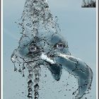 Wasserelefant