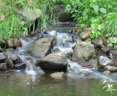 Wasserfällchen