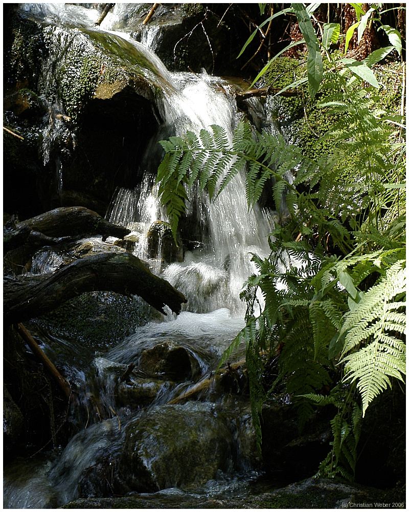 Wasserfällchen