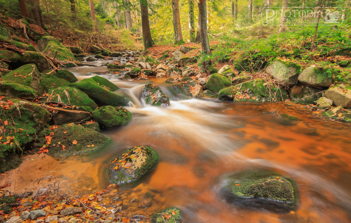 Wasserfällchen im Harz