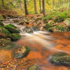 Wasserfällchen im Harz