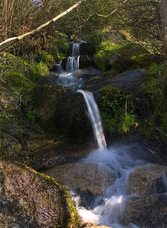 Wasserfällchen im Schwarzwald