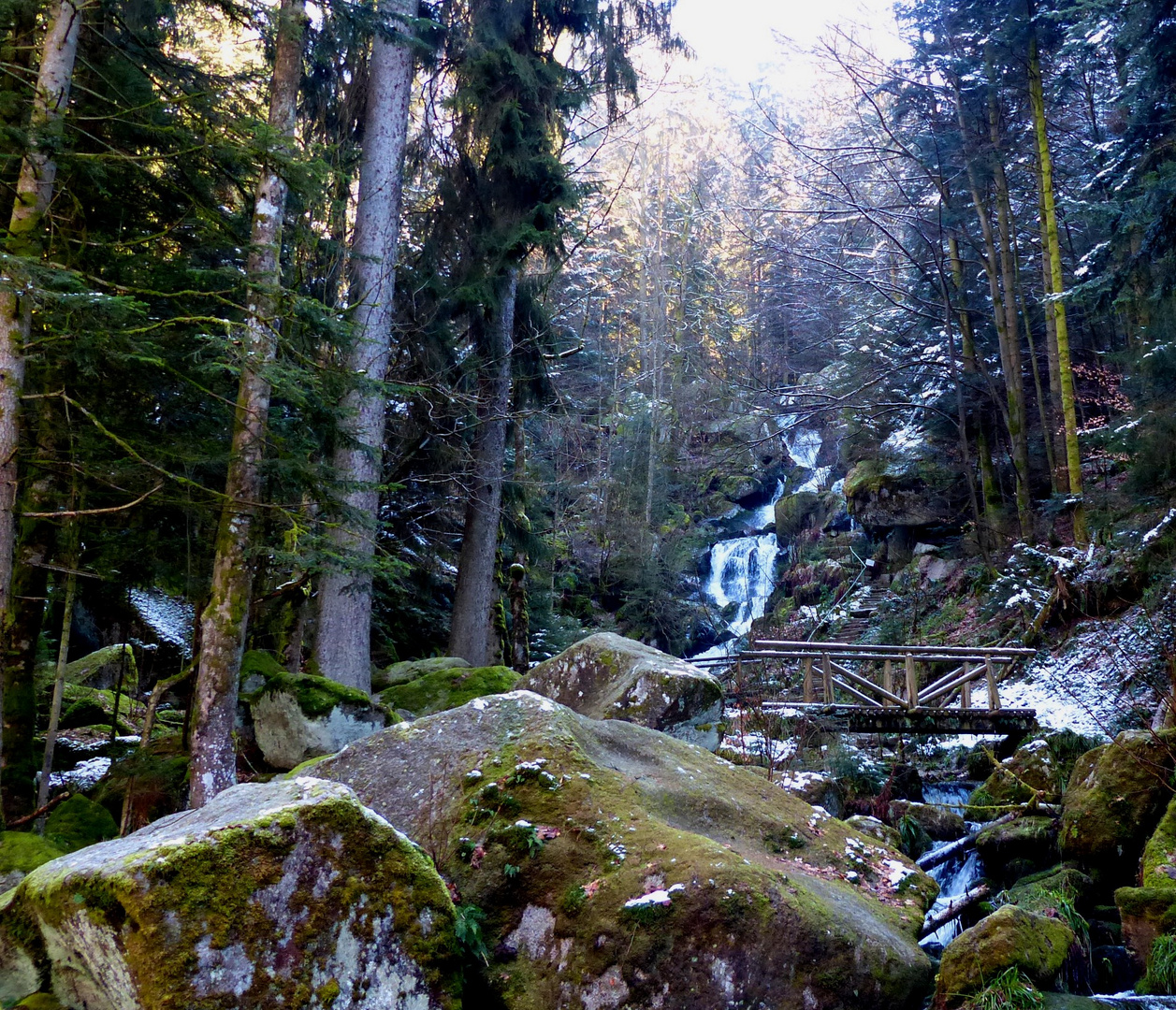 Wasserfälle Gertelsbach