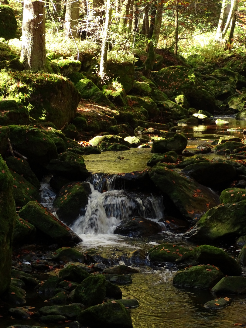 Wasserfälle Großen Ohe