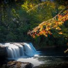 Wasserfälle im Herbst in den Smoky Mountains