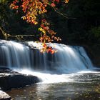 Wasserfälle im Herbst in den Smoky Mountains