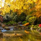 Wasserfälle im Japangarten