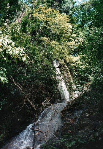 Wasserfälle im Regenwald von Costa Rica