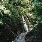 Wasserfälle im Regenwald von Costa Rica