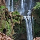 Wasserfälle in Ouzoud VII - Marokko