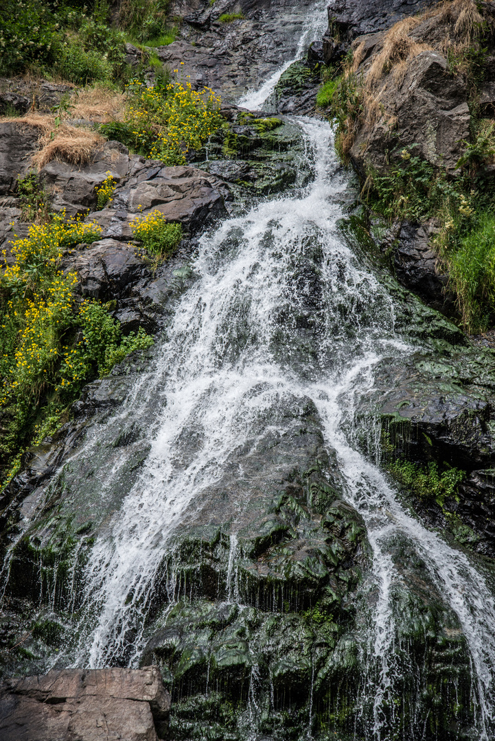 Wasserfälle Todtnau (Schwarzwald)